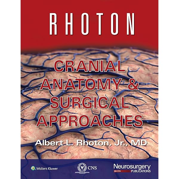 Amazon.com: Clinical Vascular Anatomy and Variations (Surgical